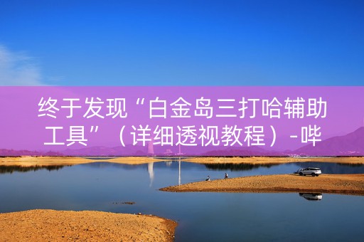 终于发现“白金岛三打哈辅助工具”（详细透视教程）-哔哩哔哩