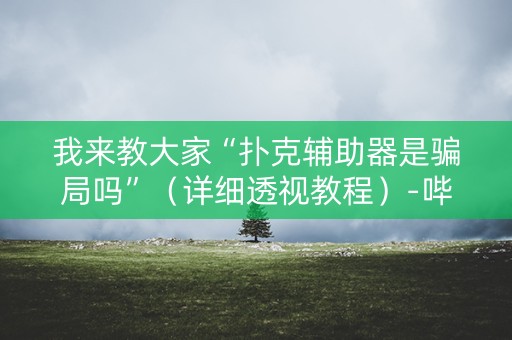 我来教大家“扑克辅助器是骗局吗”（详细透视教程）-哔哩哔哩