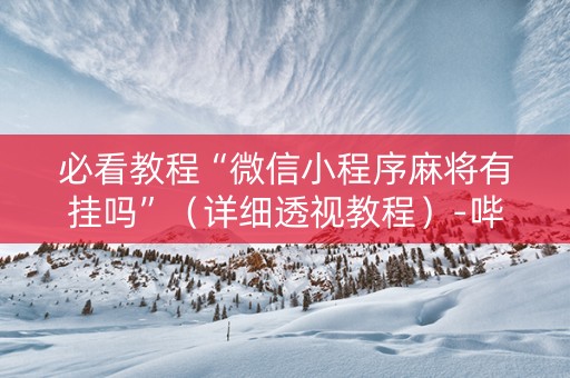 必看教程“微信小程序麻将有挂吗”（详细透视教程）-哔哩哔哩