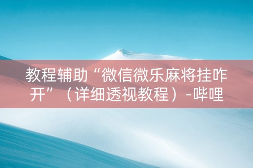 教程辅助“微信微乐麻将挂咋开”（详细透视教程）-哔哩哔哩