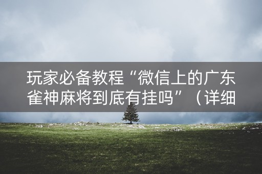 玩家必备教程“微信上的广东雀神麻将到底有挂吗”（详细透视教程）-哔哩哔哩