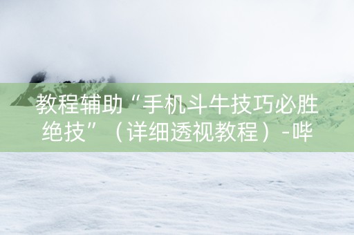 教程辅助“手机斗牛技巧必胜绝技”（详细透视教程）-哔哩哔哩