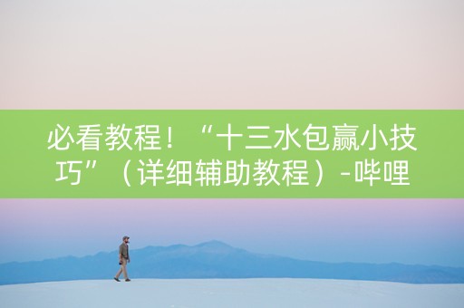 必看教程！“十三水包赢小技巧”（详细辅助教程）-哔哩哔哩