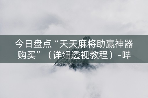 今日盘点“天天麻将助赢神器购买”（详细透视教程）-哔哩哔哩