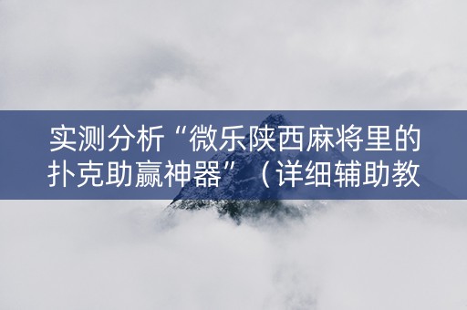 实测分析“微乐陕西麻将里的扑克助赢神器”（详细辅助教程）-哔哩哔哩
