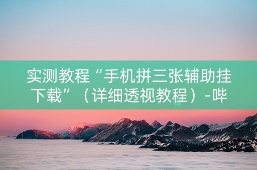 实测教程“手机拼三张辅助挂下载”（详细透视教程）-哔哩哔哩