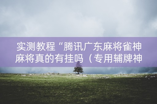 实测教程“腾讯广东麻将雀神麻将真的有挂吗（专用辅牌神器免安装）
