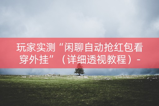 玩家实测“闲聊自动抢红包看穿外挂”（详细透视教程）-哔哩哔哩