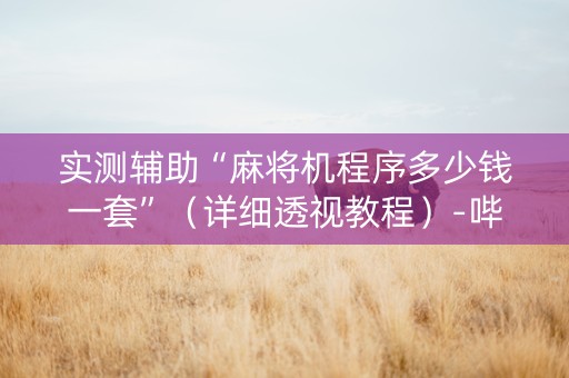 实测辅助“麻将机程序多少钱一套”（详细透视教程）-哔哩哔哩