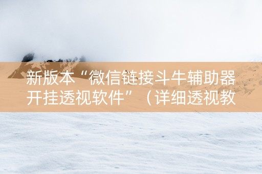 新版本“微信链接斗牛辅助器开挂透视软件”（详细透视教程）-哔哩哔哩