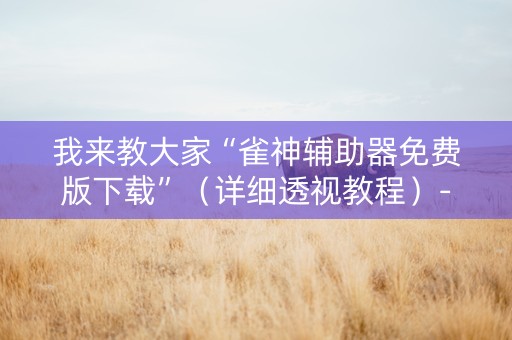 我来教大家“雀神辅助器免费版下载”（详细透视教程）-哔哩哔哩