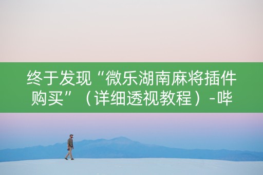 终于发现“微乐湖南麻将插件购买”（详细透视教程）-哔哩哔哩