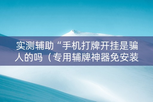 实测辅助“手机打牌开挂是骗人的吗（专用辅牌神器免安装）