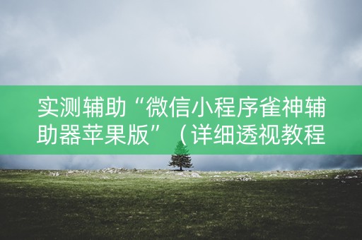 实测辅助“微信小程序雀神辅助器苹果版”（详细透视教程）-哔哩哔哩