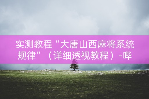 实测教程“大唐山西麻将系统规律”（详细透视教程）-哔哩哔哩