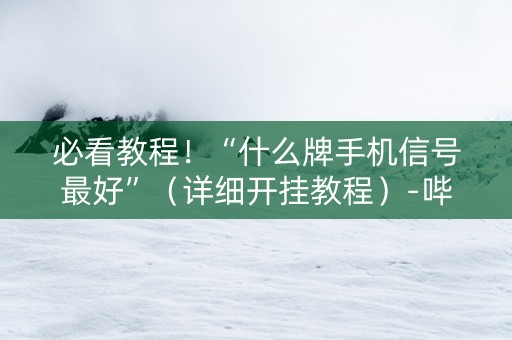 必看教程！“什么牌手机信号最好”（详细开挂教程）-哔哩哔哩