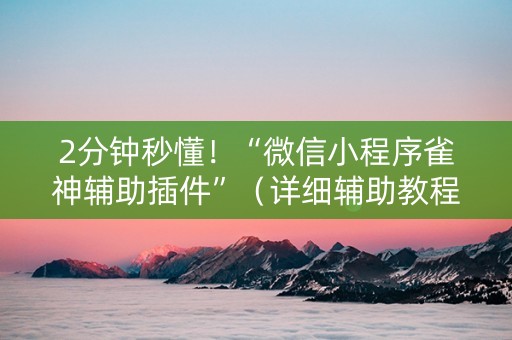 2分钟秒懂！“微信小程序雀神辅助插件”（详细辅助教程）-哔哩哔哩