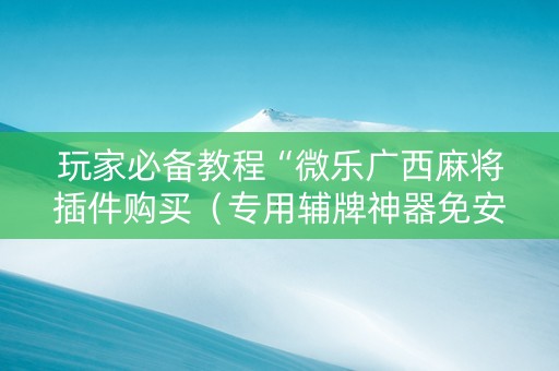 玩家必备教程“微乐广西麻将插件购买（专用辅牌神器免安装）