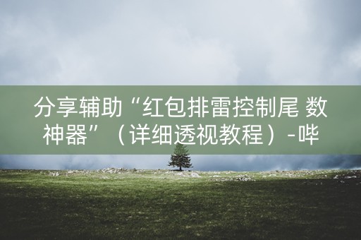 分享辅助“红包排雷控制尾 数神器”（详细透视教程）-哔哩哔哩