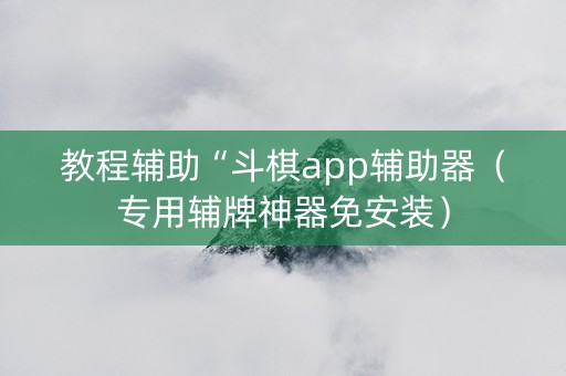 教程辅助“斗棋app辅助器（专用辅牌神器免安装）