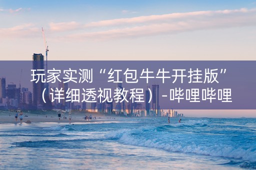 玩家实测“红包牛牛开挂版”（详细透视教程）-哔哩哔哩