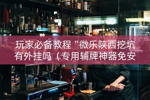 玩家必备教程“微乐陕西挖坑有外挂吗（专用辅牌神器免安装）