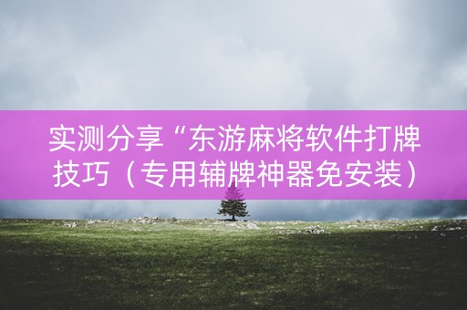 实测分享“东游麻将软件打牌技巧（专用辅牌神器免安装）