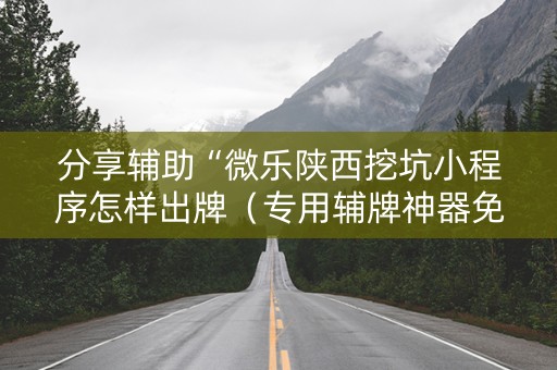 分享辅助“微乐陕西挖坑小程序怎样出牌（专用辅牌神器免安装）