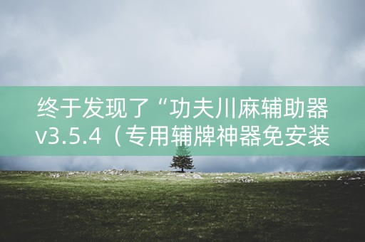 终于发现了“功夫川麻辅助器v3.5.4（专用辅牌神器免安装）