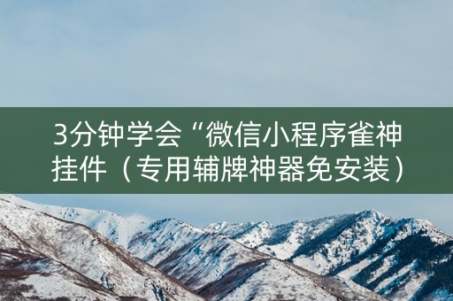3分钟学会“微信小程序雀神挂件（专用辅牌神器免安装）