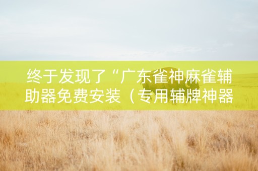 终于发现了“广东雀神麻雀辅助器免费安装（专用辅牌神器免安装）