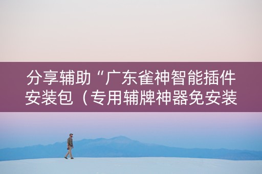 分享辅助“广东雀神智能插件安装包（专用辅牌神器免安装）
