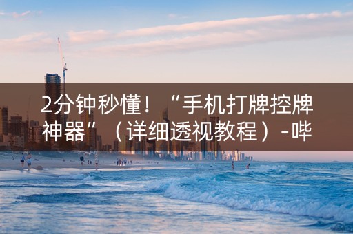 2分钟秒懂！“手机打牌控牌神器”（详细透视教程）-哔哩哔哩