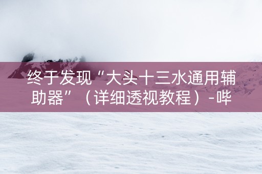 终于发现“大头十三水通用辅助器”（详细透视教程）-哔哩哔哩