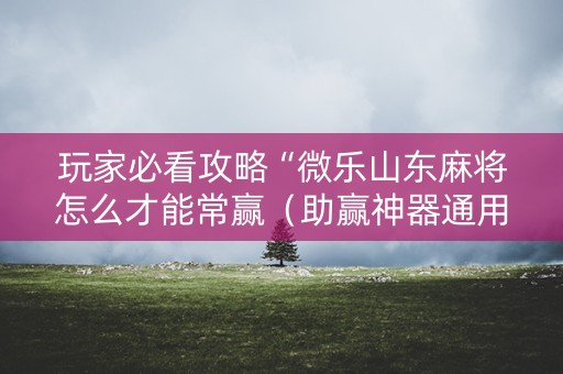 玩家必看攻略“微乐山东麻将怎么才能常赢（助赢神器通用版）
