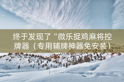 终于发现了“微乐捉鸡麻将控牌器（专用辅牌神器免安装）