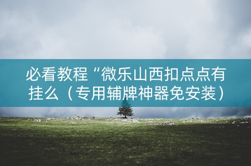 必看教程“微乐山西扣点点有挂么（专用辅牌神器免安装）