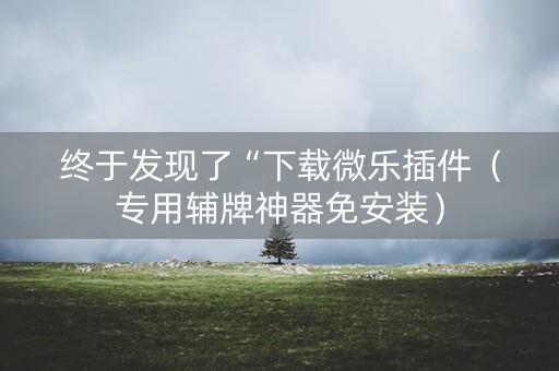 终于发现了“下载微乐插件（专用辅牌神器免安装）