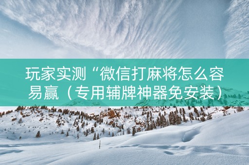 玩家实测“微信打麻将怎么容易赢（专用辅牌神器免安装）