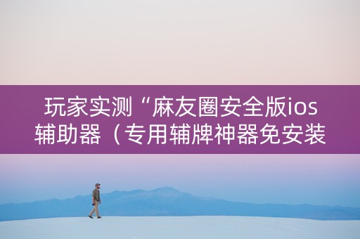 玩家实测“麻友圈安全版ios辅助器（专用辅牌神器免安装）