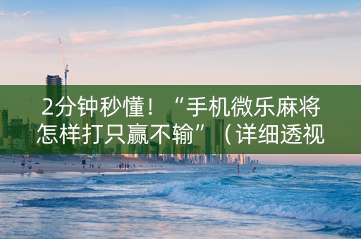 2分钟秒懂！“手机微乐麻将怎样打只赢不输”（详细透视教程）-哔哩哔哩