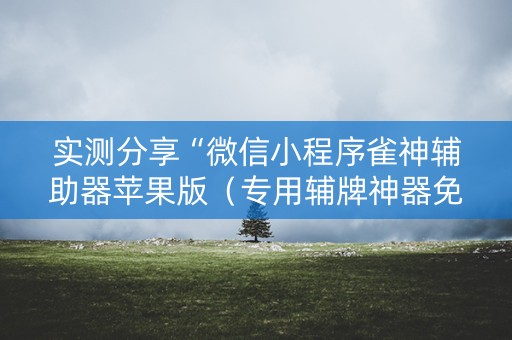 实测分享“微信小程序雀神辅助器苹果版（专用辅牌神器免安装）