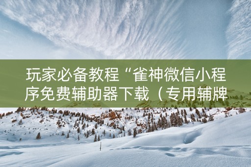 玩家必备教程“雀神微信小程序免费辅助器下载（专用辅牌神器免安装）