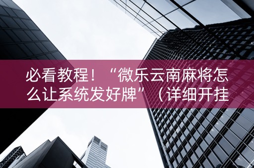 必看教程！“微乐云南麻将怎么让系统发好牌”（详细开挂教程）-哔哩哔哩