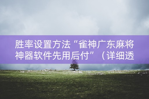 胜率设置方法“雀神广东麻将神器软件先用后付”（详细透视教程）-哔哩哔哩