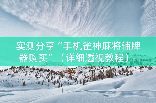 实测分享“手机雀神麻将辅牌器购买”（详细透视教程）-哔哩哔哩