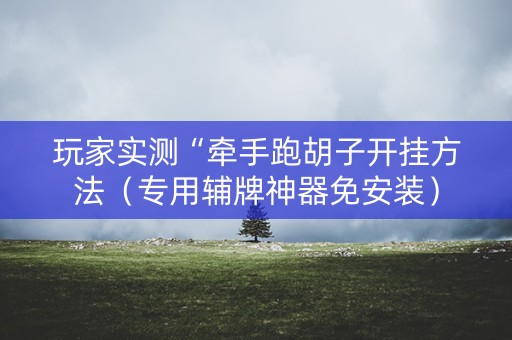 玩家实测“牵手跑胡子开挂方法（专用辅牌神器免安装）