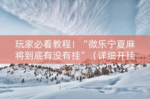 玩家必看教程！“微乐宁夏麻将到底有没有挂”（详细开挂教程）-哔哩哔哩