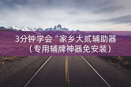 3分钟学会“家乡大贰辅助器（专用辅牌神器免安装）