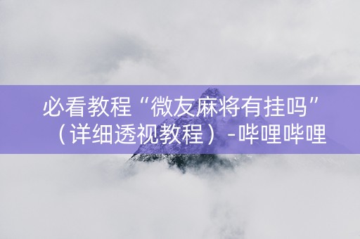 必看教程“微友麻将有挂吗”（详细透视教程）-哔哩哔哩